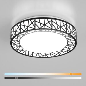 12 Inch Flush Mount Ceiling Light, Modern Black LED Ceiling Light Fixture